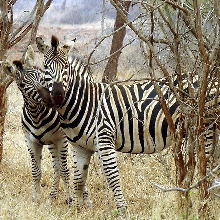 Ndlovu Log Home Dinokeng Klipdrift Esterno foto