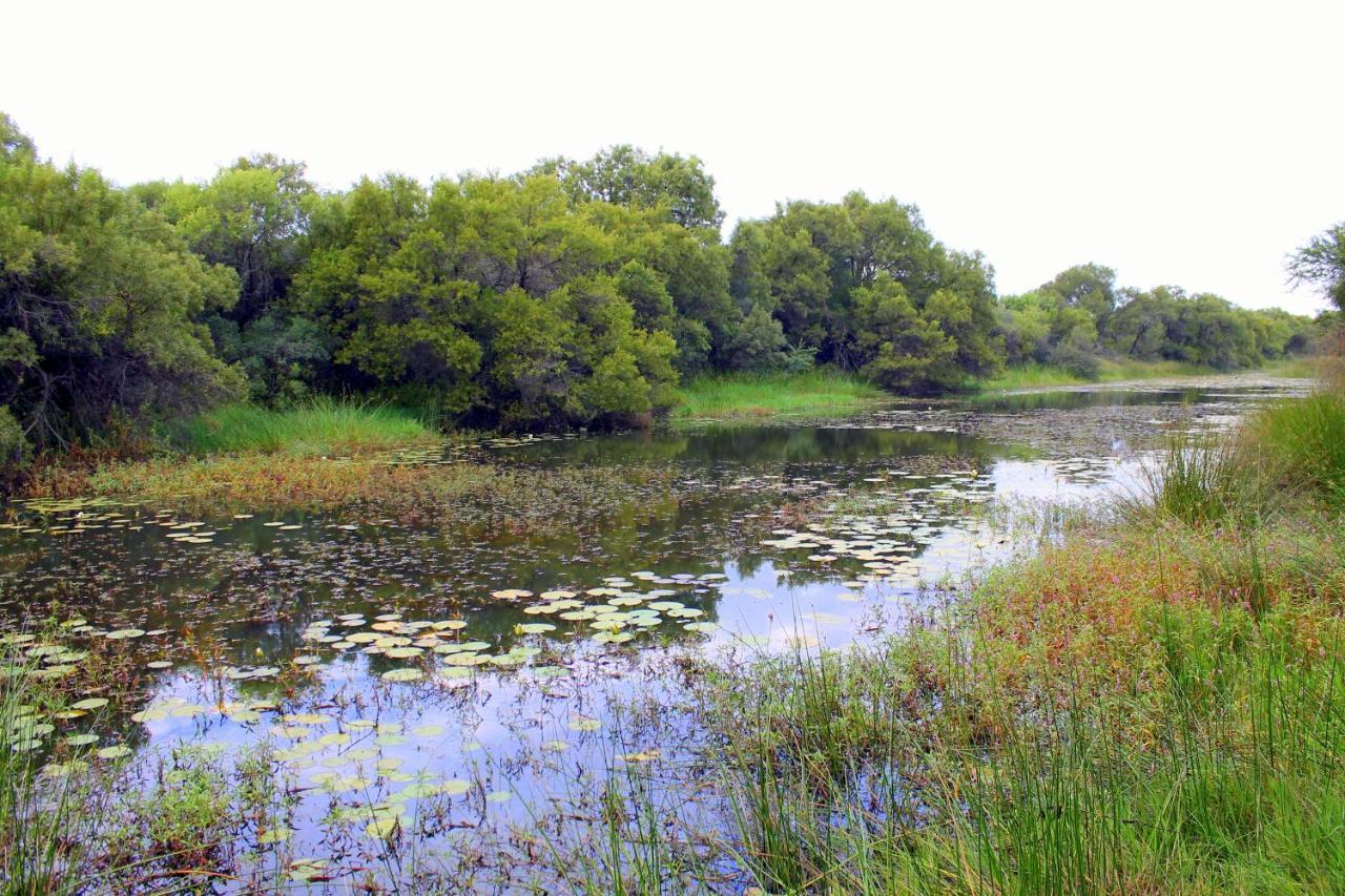 Ndlovu Log Home Dinokeng Klipdrift Esterno foto