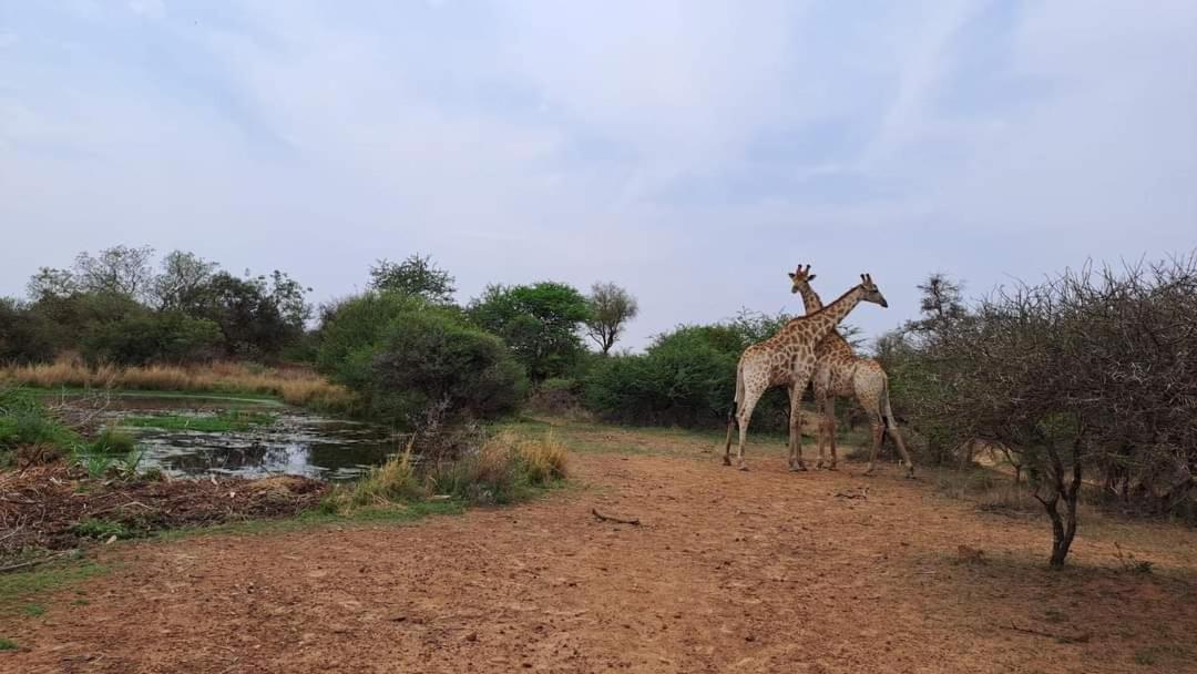 Ndlovu Log Home Dinokeng Klipdrift Esterno foto