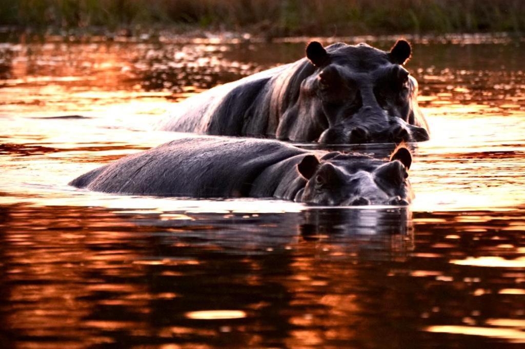 Ndlovu Log Home Dinokeng Klipdrift Esterno foto