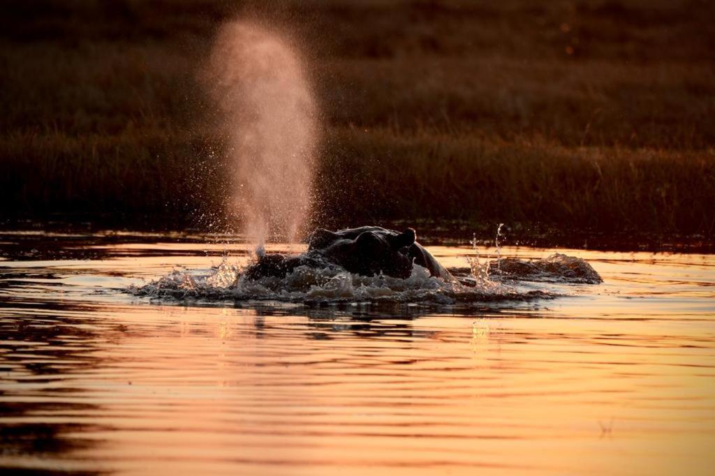 Ndlovu Log Home Dinokeng Klipdrift Esterno foto