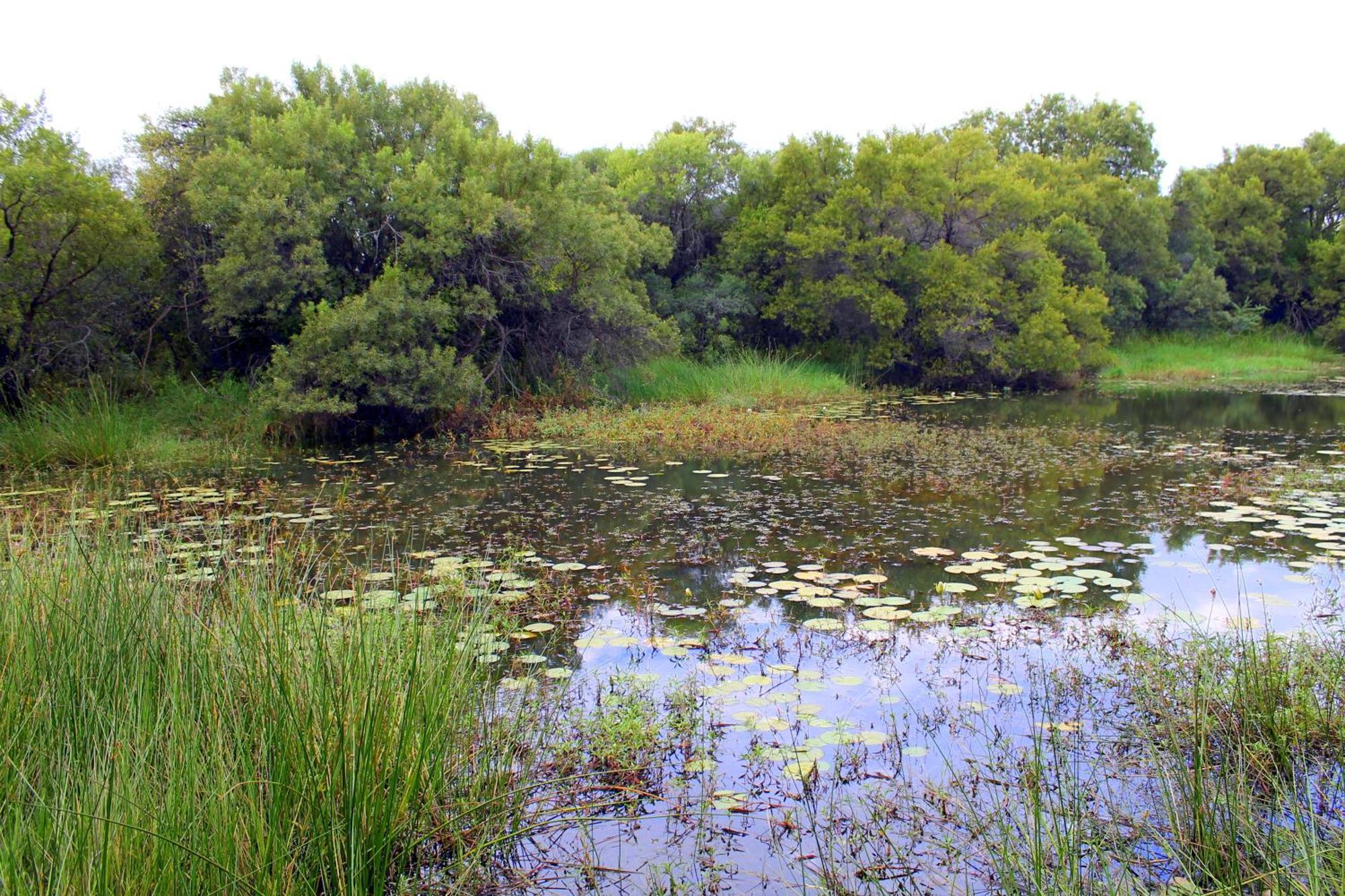 Ndlovu Log Home Dinokeng Klipdrift Esterno foto