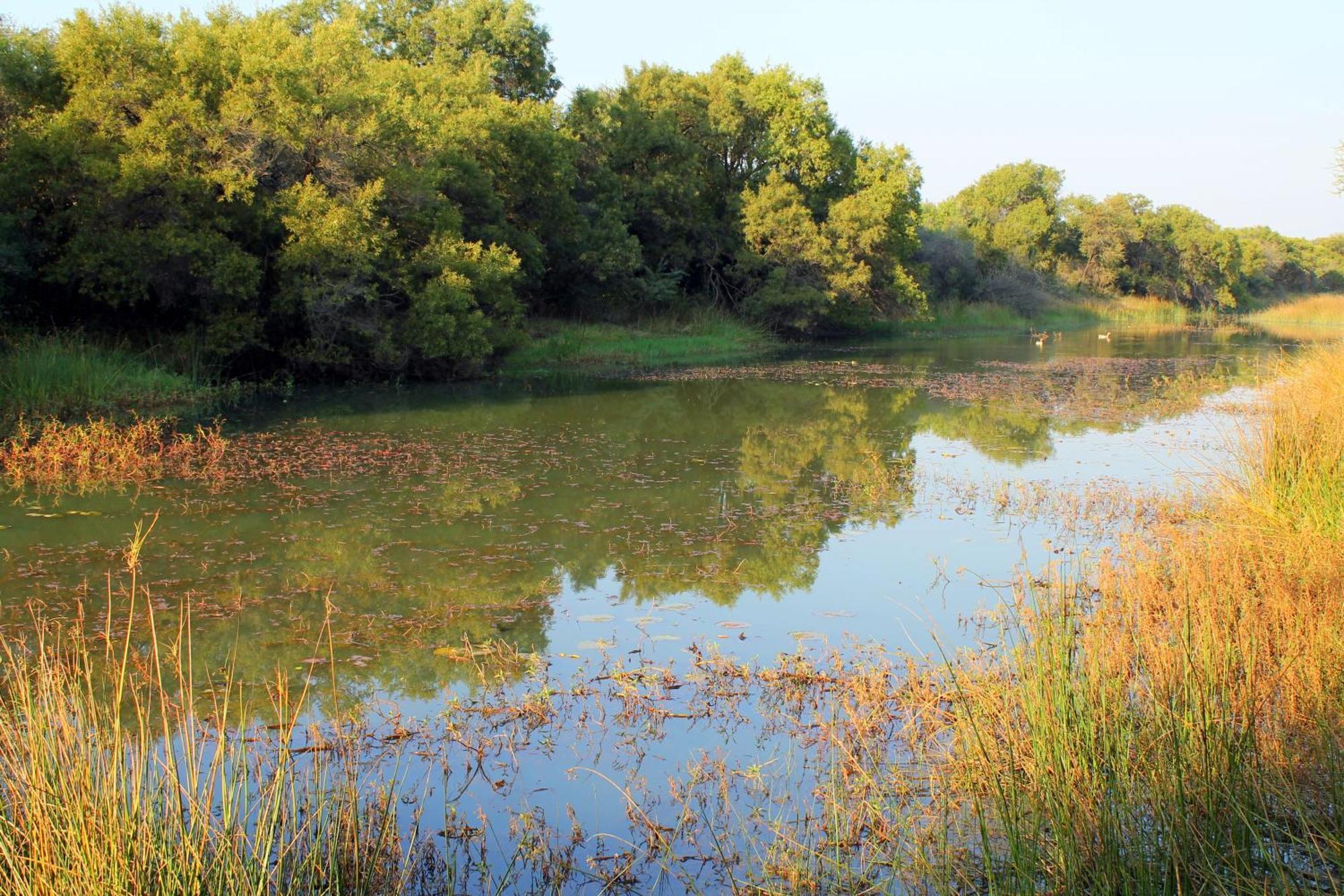Ndlovu Log Home Dinokeng Klipdrift Esterno foto