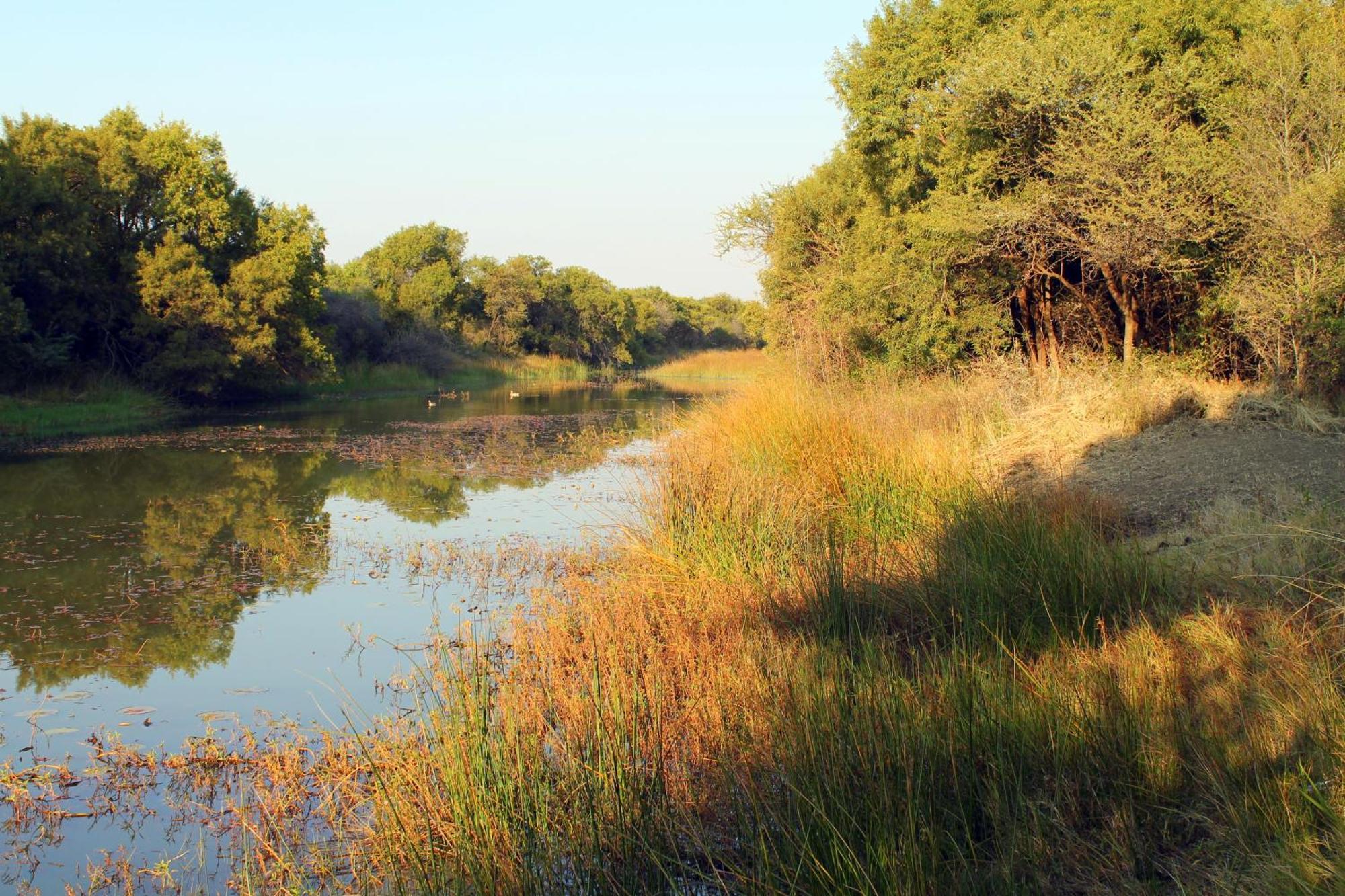 Ndlovu Log Home Dinokeng Klipdrift Esterno foto