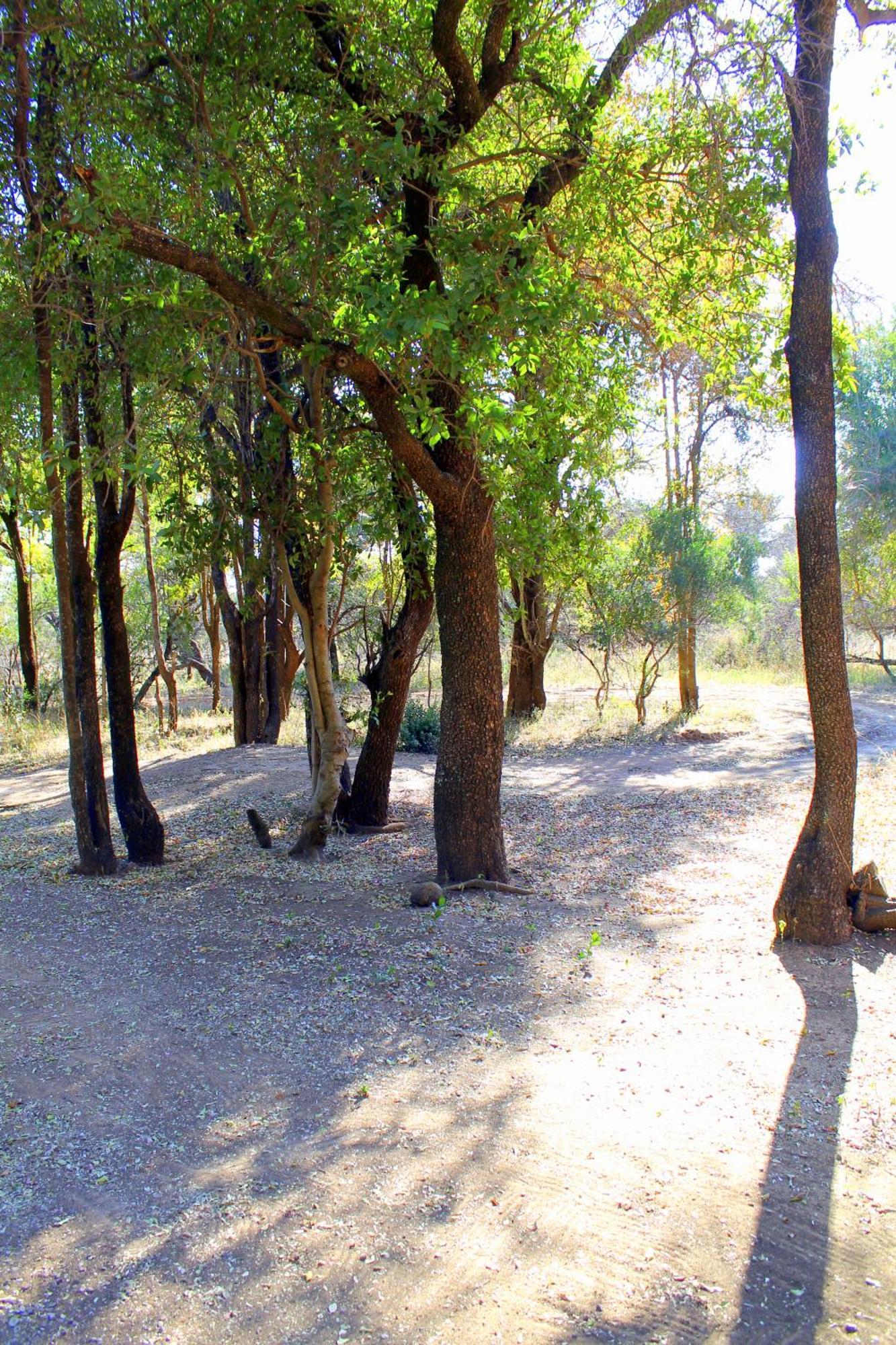 Ndlovu Log Home Dinokeng Klipdrift Esterno foto