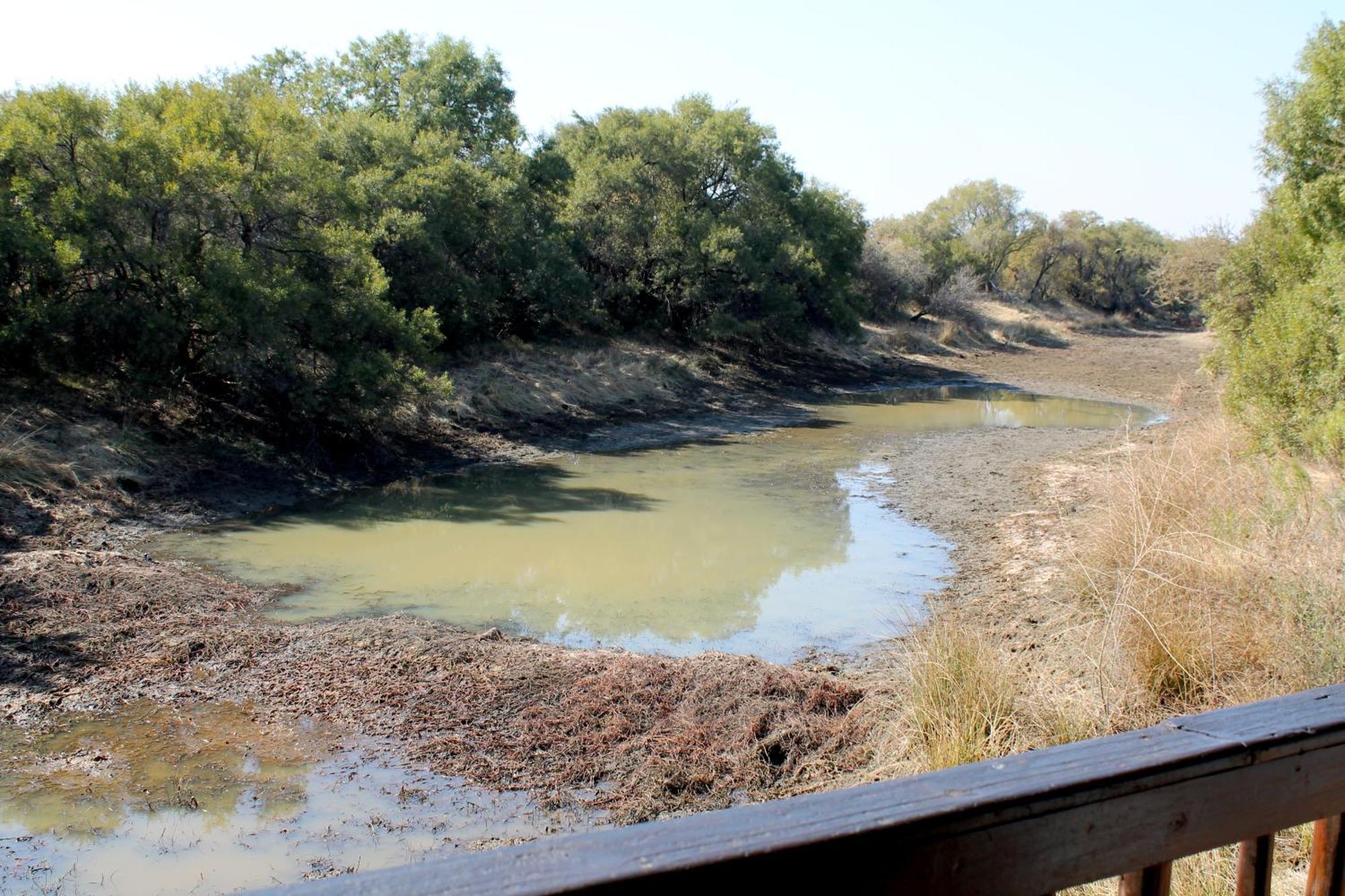 Ndlovu Log Home Dinokeng Klipdrift Esterno foto
